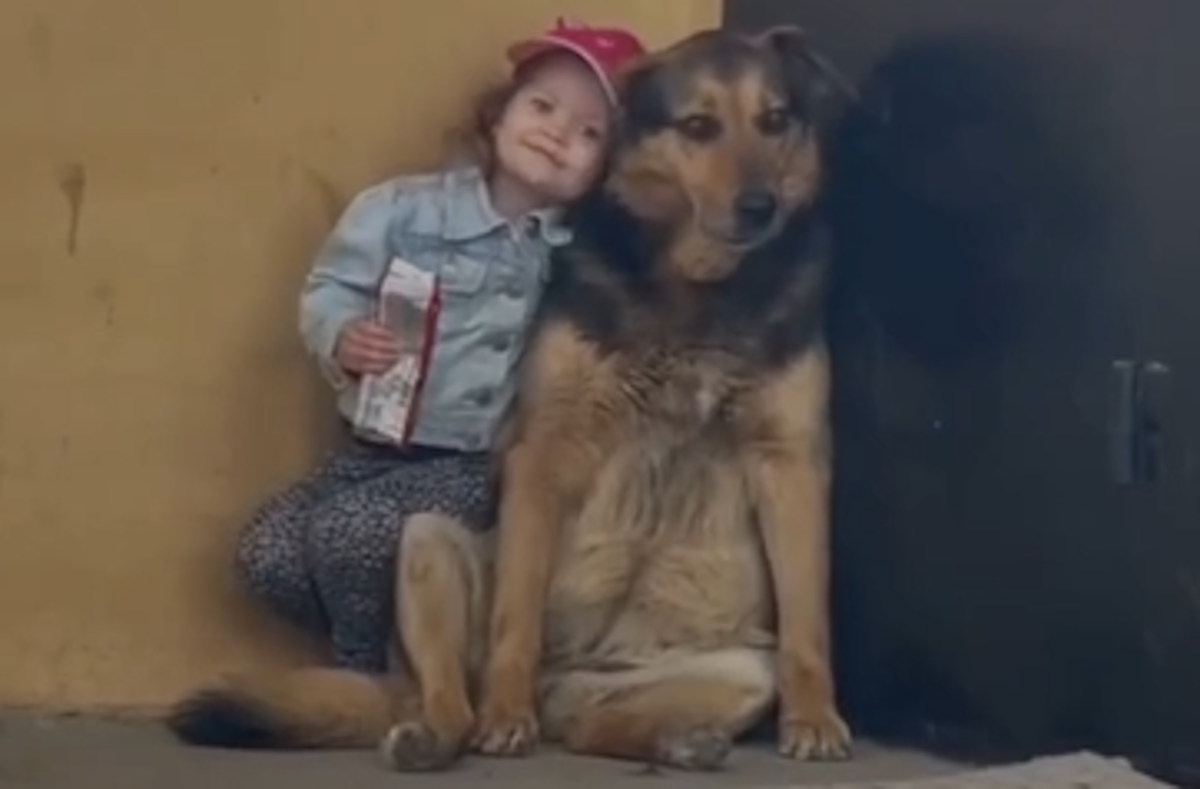  Snimak koji je podijelio javnost: Pregledan 100.000 puta, ali umjesto da greje dušu, izazivao jezu n 