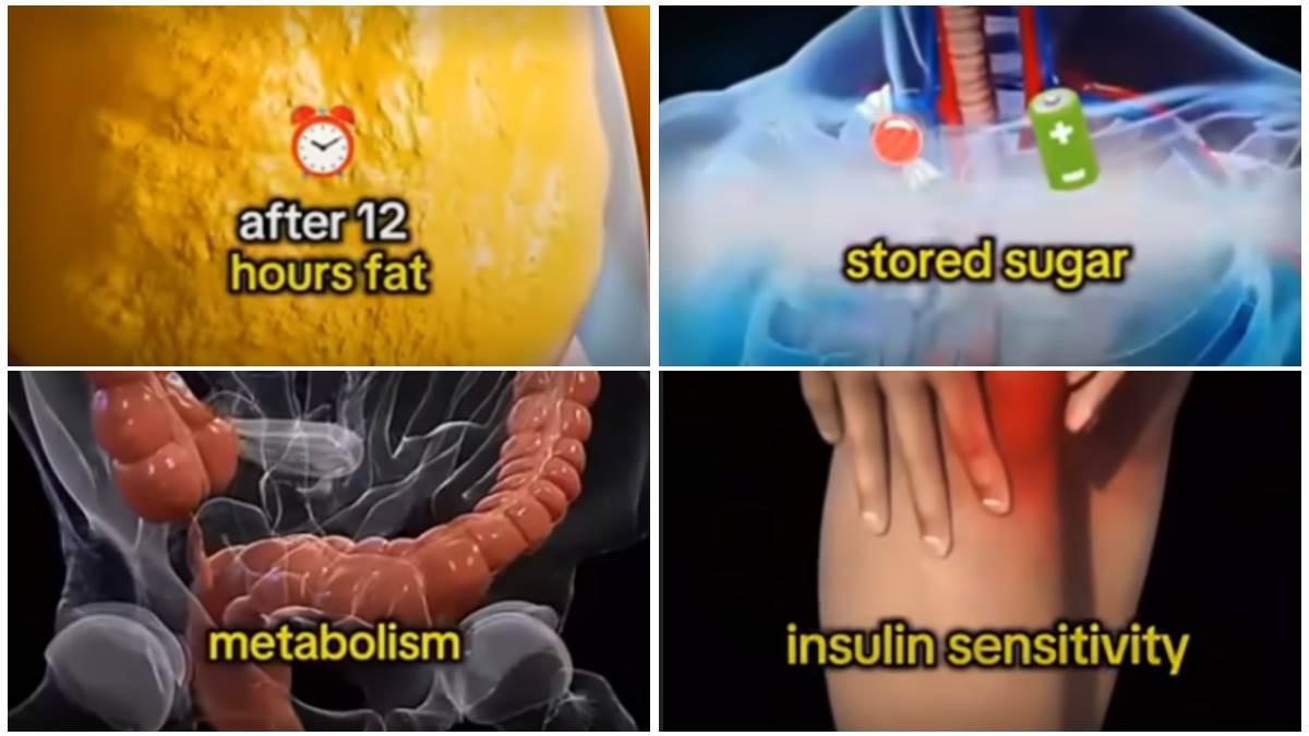  Šta se dešava u tijelu tokom 36 sati bez hrane? Zapanjujuća simulacija pokazala promjene korak po ko 