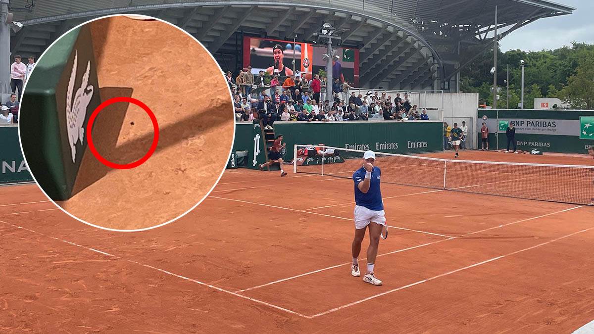  Hamad konačno pobijedio, pčela i zub platili ceh na Rolan Garosu 