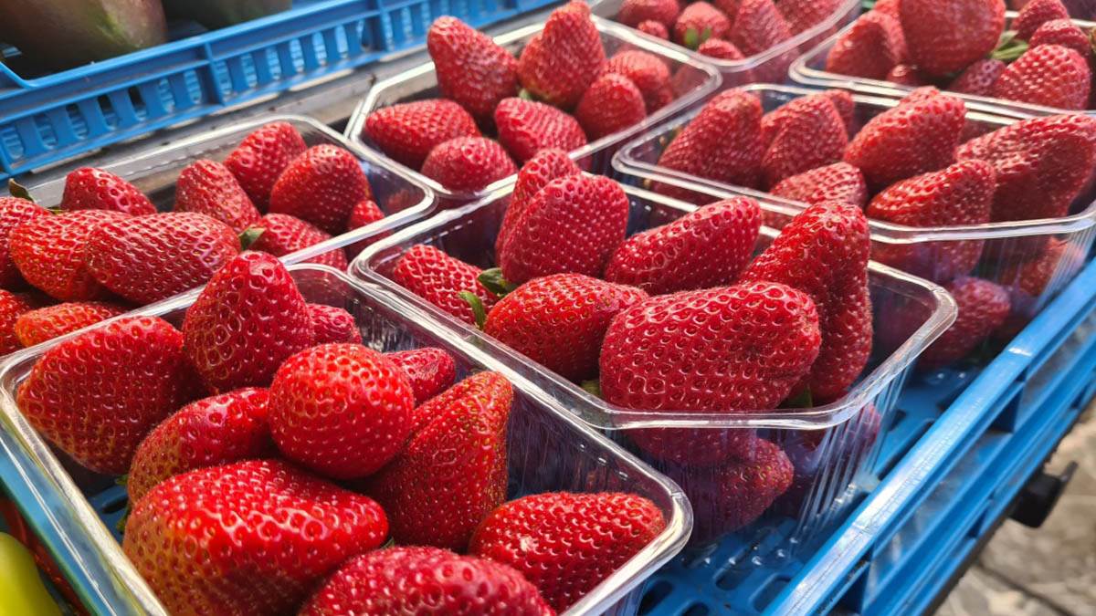  Šta jagode "rade" tijelu? Pogledajte šta se nalazi u samo 100 g voća 