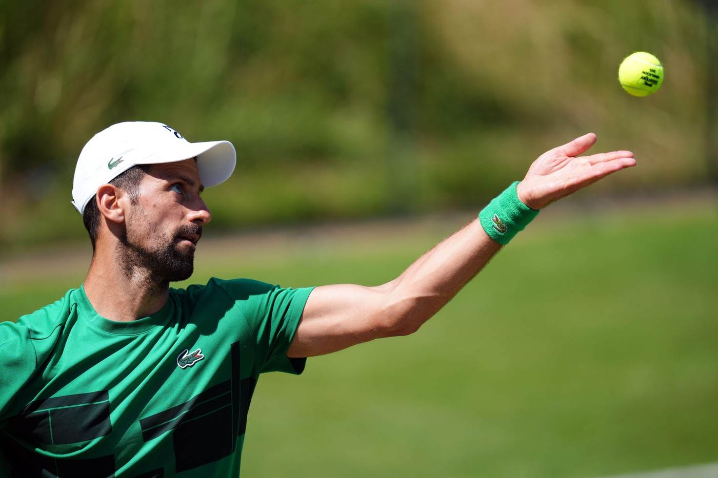  Novak Đoković želi 8. trofej na Vimbldonu 