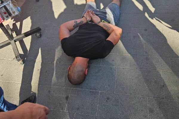  Nikola Petrović hapšenje 