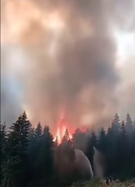  Požar iz Crne Gore prešao u Srbiju 