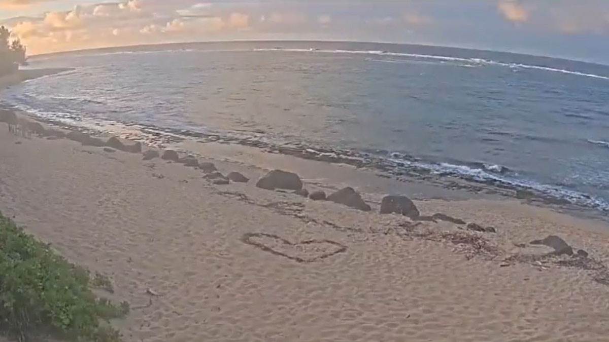  Predznak razornog cunamija koji stiže: Pogledajte šta se dešava sa okeanom na Havajima 