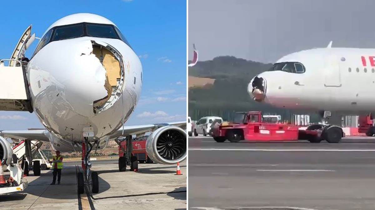  Ptica udarila u avion, odvaljen mu nos: Dramatično prizemljenje u Madridu, putnici uzimali maske za  