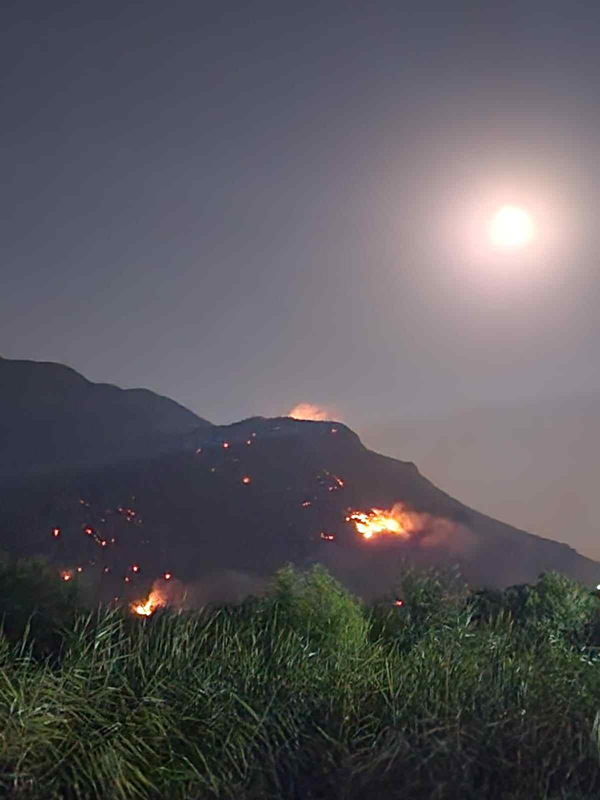  Državljanin Albanije osumnjičen za izazivanje požara u Buljarici 