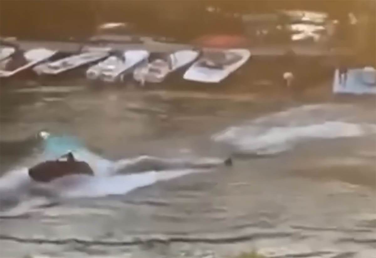  Trener kajakaša iz Pančeva do detalja opisao dramu na Tamišu, ovako je sve počelo 