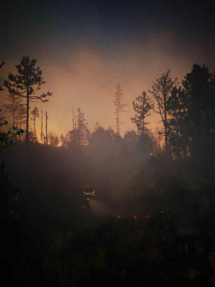  Bojanović: Najkritičniji požari u Piperima, stanje u Tuzima složeno 