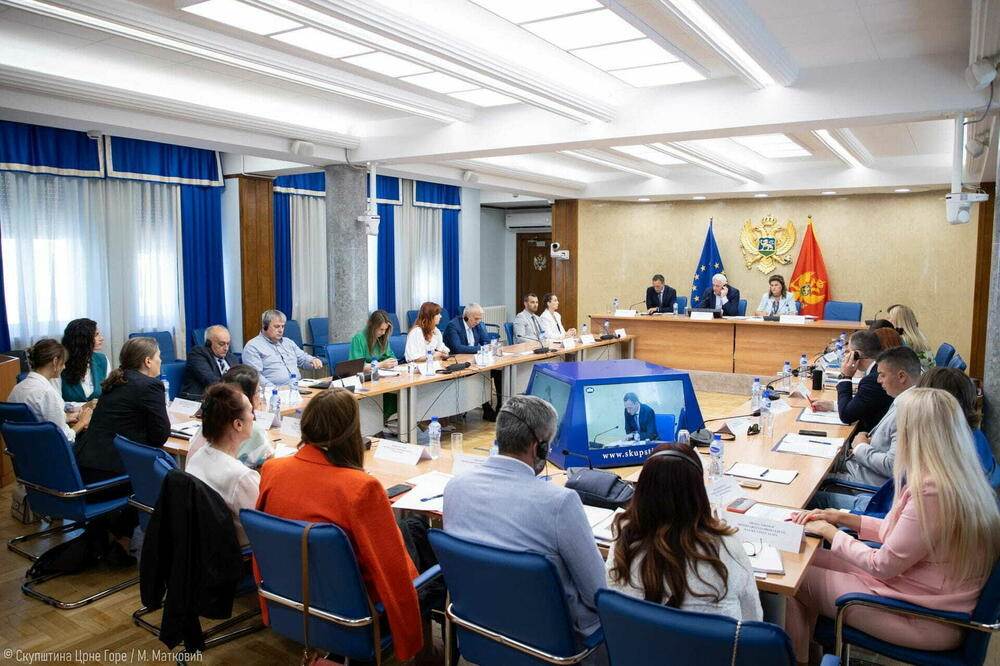  AZLP pod lupom Odbora za ljudska prava 