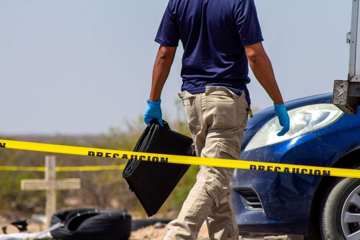  Šest odsiječenih glava pronađeno na putu 