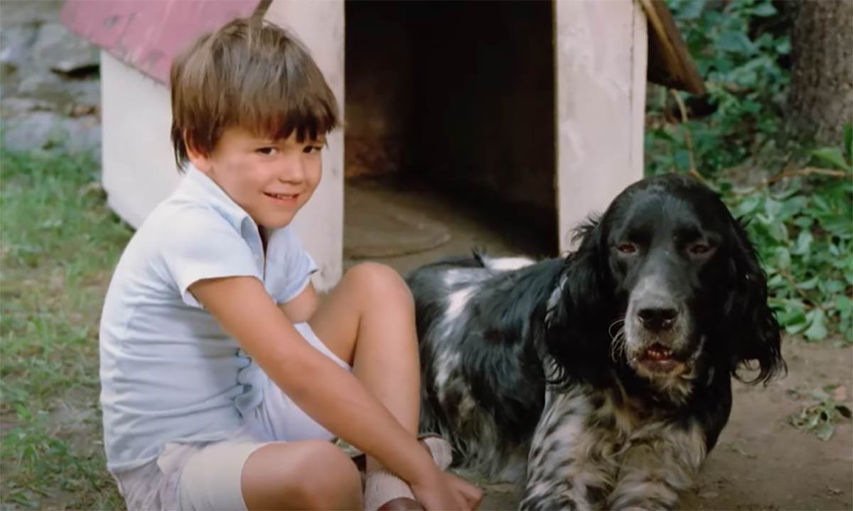  Kako danas izgleda dečak Tadija iz filma Varljivo leto 68? 