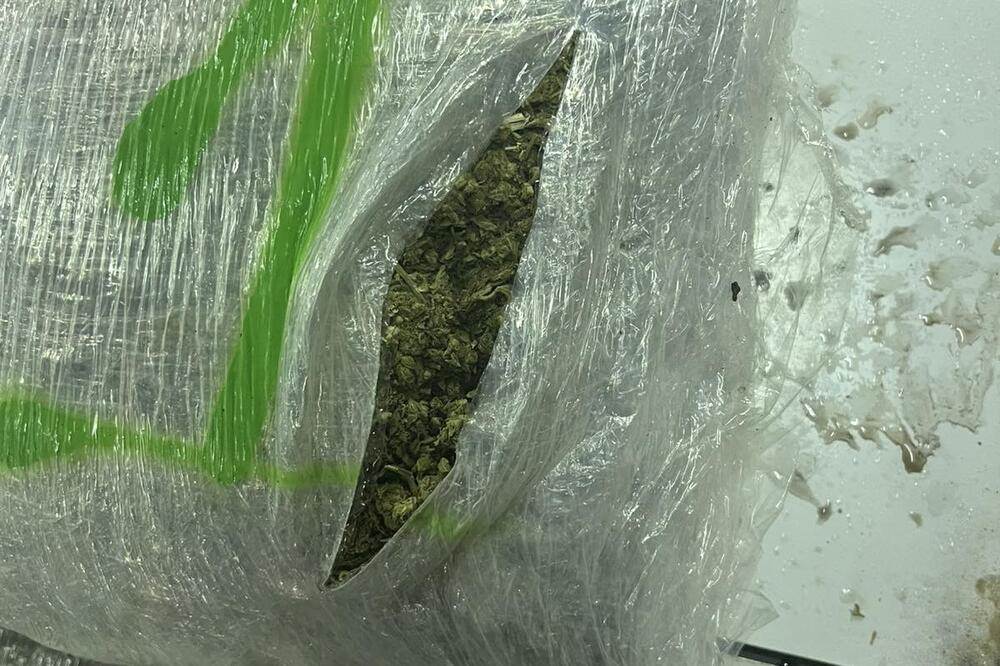  Carina spriječila krijumčarenje oko 150 kilograma marihuane namijenjene za tranzit preko Crne Gore k 