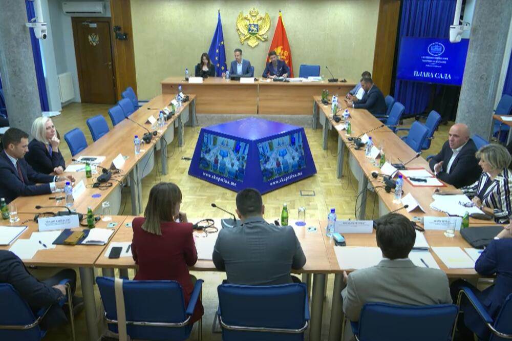  Odbor za ekonomiju, finansije i budžet 