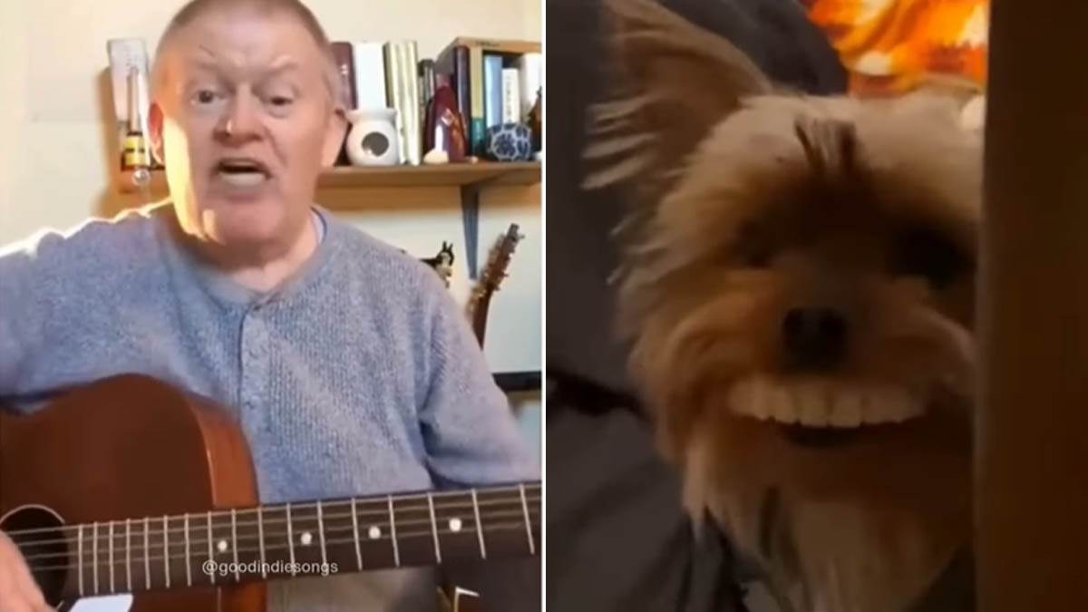   Ljudi gledaju video i plaču od smijeha 