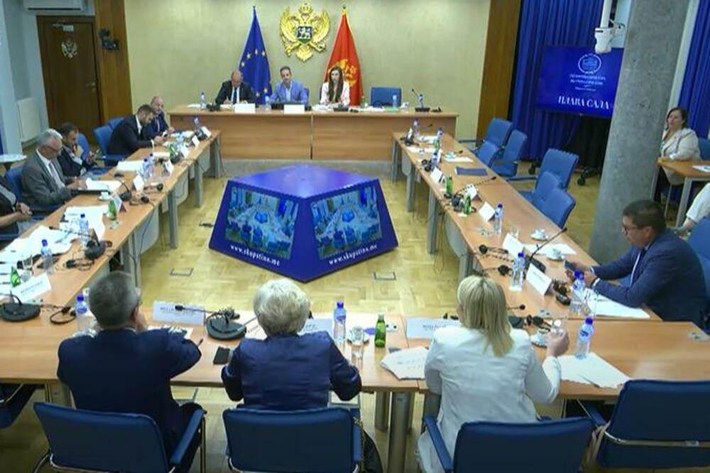  Kontrolno saslušanje: EPCG i "Solar gradnja" vjeruju da mišljenje DRI nije bilo nezavisno 