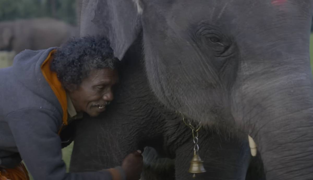  3 najbolja Netfliksova dokumentarca u poslednjih 5 godina: Među njima je i dobitnik Oskara koji je r 