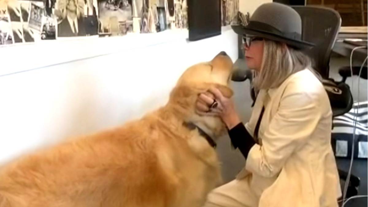  Dajen Kiton ostavila 5 miliona dolara svom psu?  