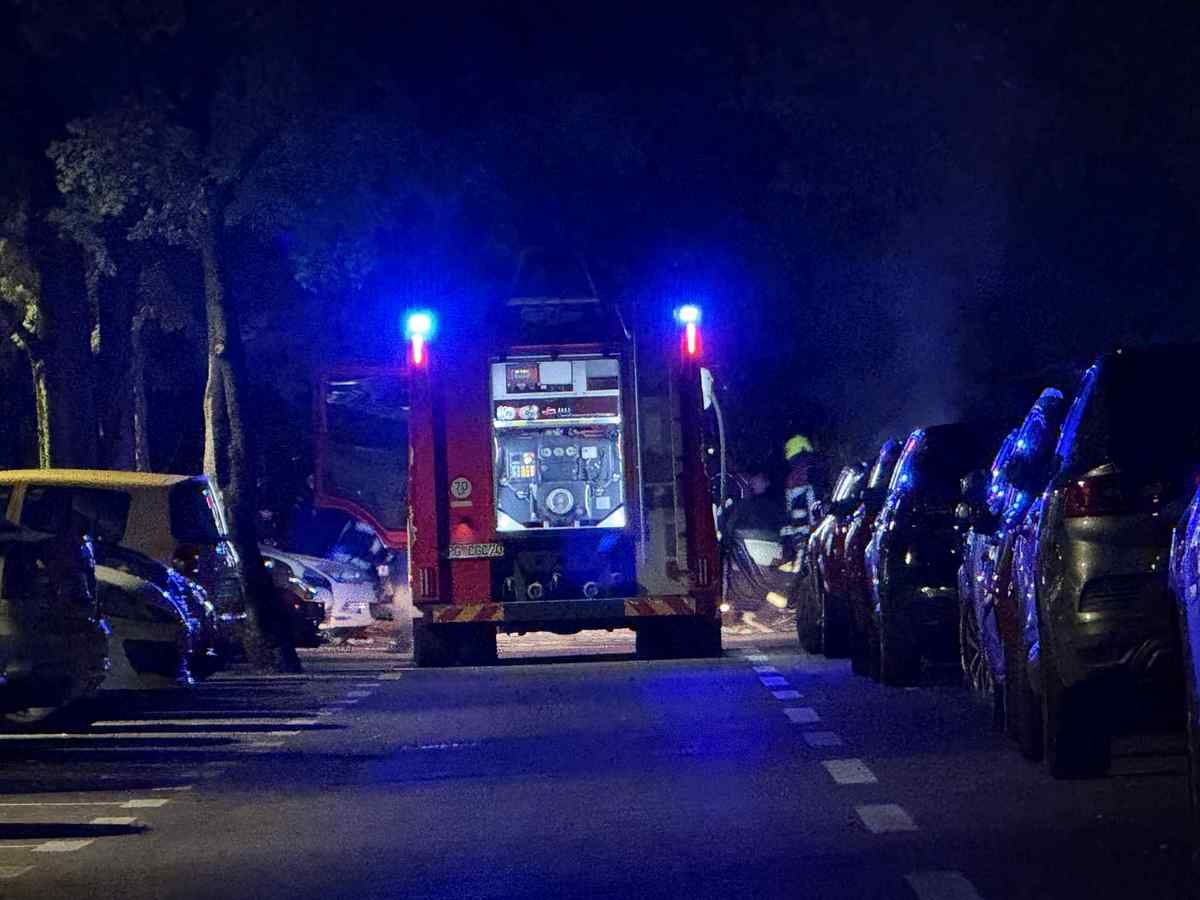  Požar zahvatio fabriku peleta u Pljevljima: Vatrogasci spriječili širenje vatre na cijeli kompleks 