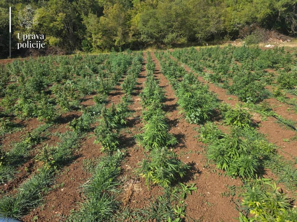  Nastavak akcije Trnovo: Uhapšen Baranin Nikola Dajković 