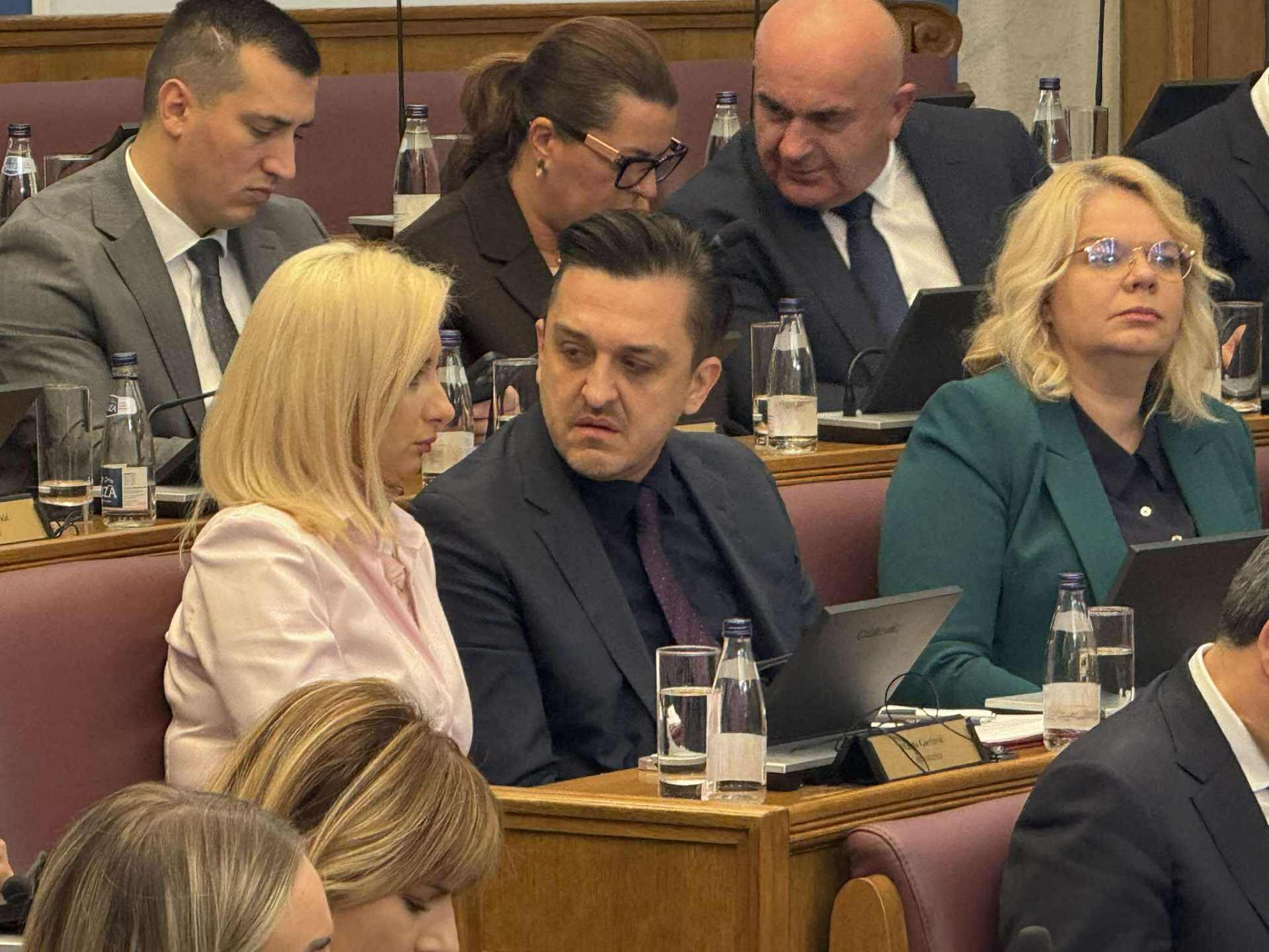  Novica Vuković Maja Vukićević 