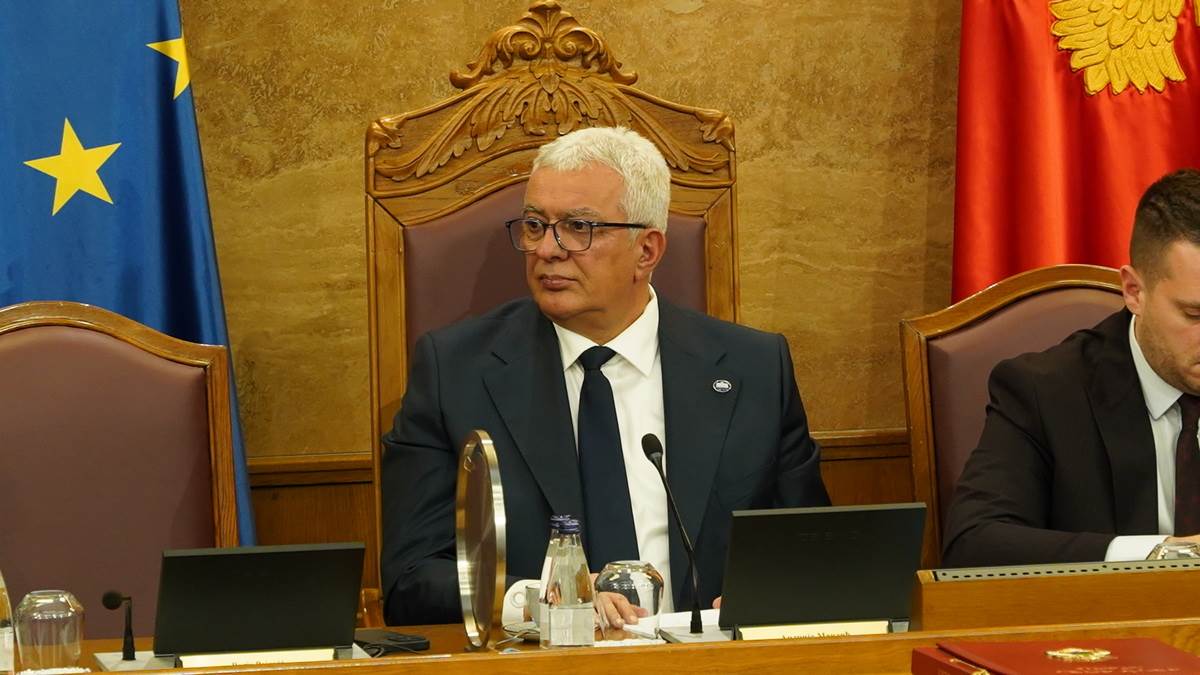 Mandić: Uskladiti sadašnji Ustav sa sadašnjim i promijeniti status Info srpskog jezika Mandić: Uskladiti sadašnji Ustav sa sadašnjim i promijeniti status Info srpskog jezika