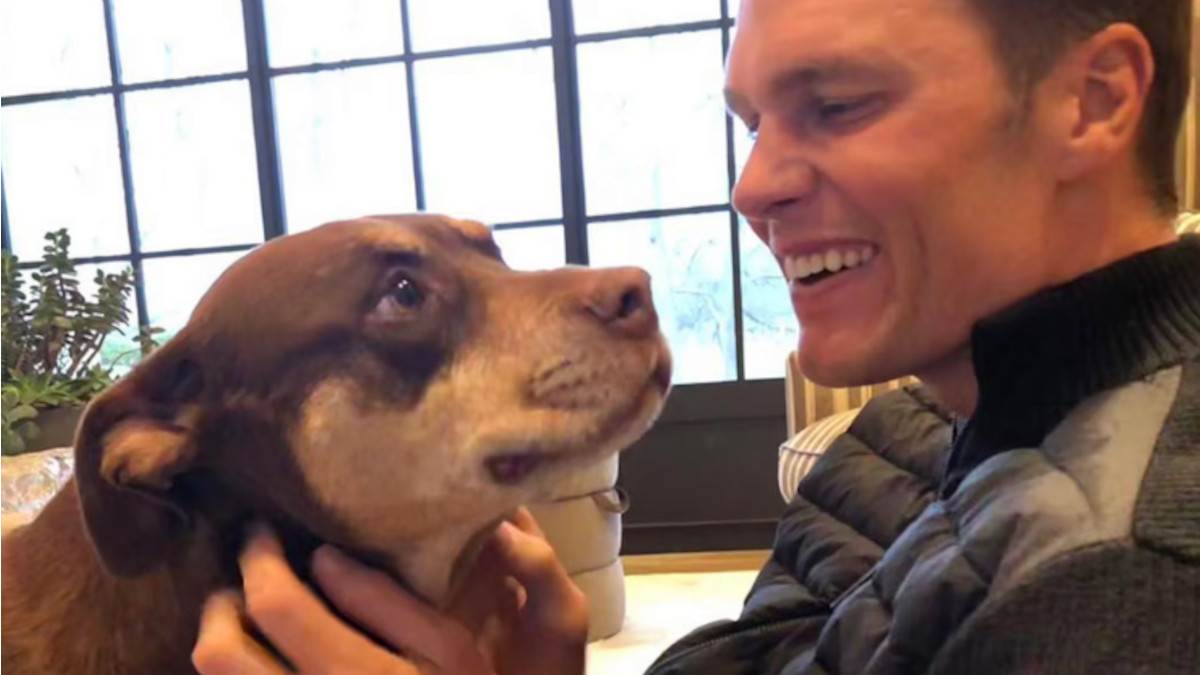  Tom Brejdi klonirao svog psa  