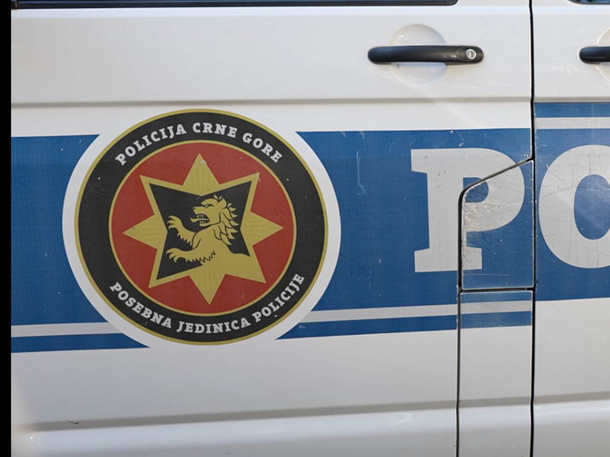  UP: Pretresi na više lokacija u Nikšiću, Plužinama, Šavniku... zaplijenjeno oružje 