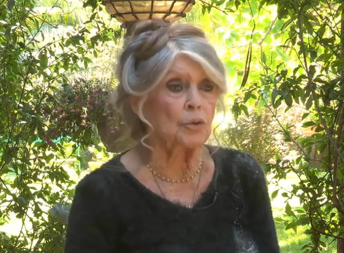  "Ne znam koji idiot je ovo napisao": Objavili da je preminula Brižit Bardo, ona odgovorila u svom st 