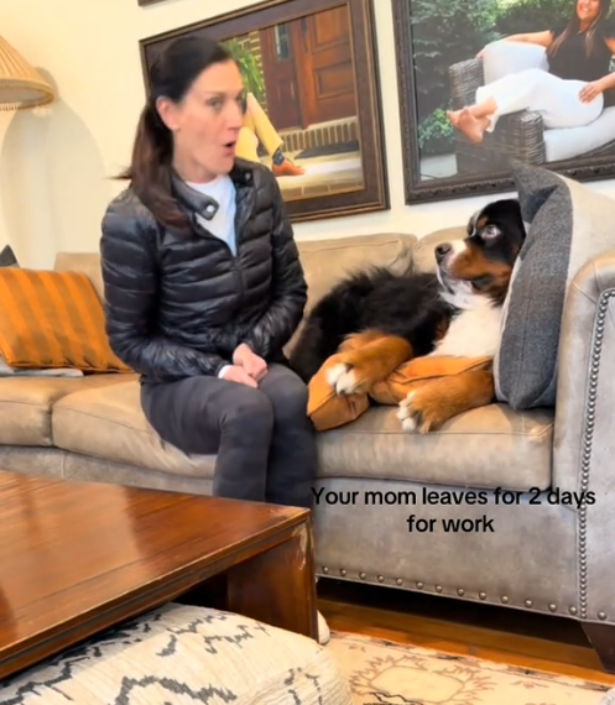  Urnebesni snimak nasmijao sve 