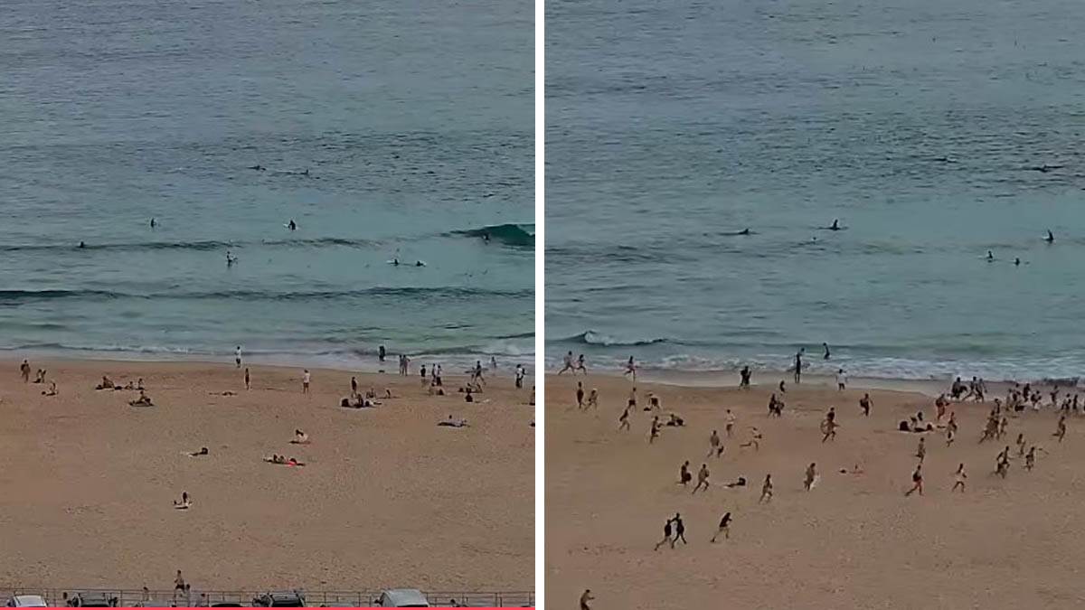  Surf kamera zabilježila početak masakra u Sidneju: Novi snimak sa plaže smrti u Australiji, ubijeno  