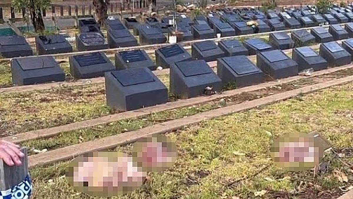  Bačene svinjske glave na muslimanskom groblju: Masakr u Sidneju izazvao neviđen gnijev građana 