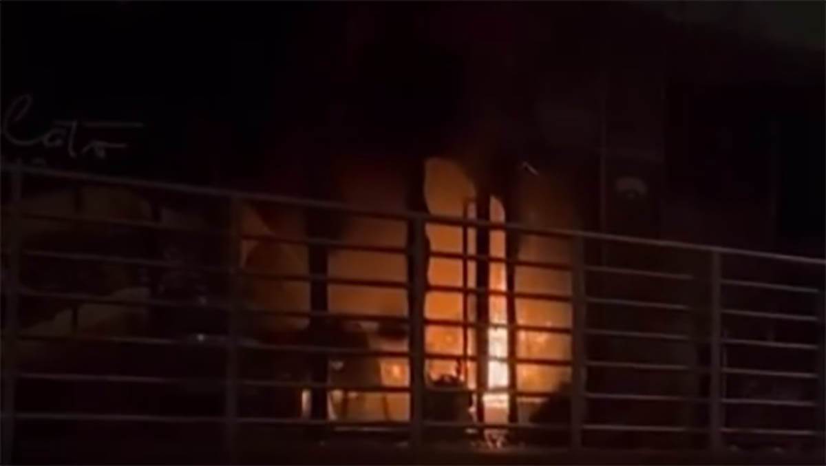  Vatra "progutala" kafić na Novom Beogradu: Požar izbio 2 puta za jednu noć 