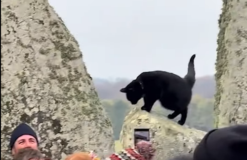  Ni druidi ni astronomi: Crna mačka glavna zvijezda Stonhendža  