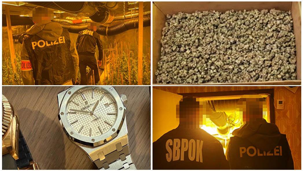  Srbi masovno "pali" zbog marihuane: Kriminalna grupa gajila hiljade stabala i pripremala za prodaju 