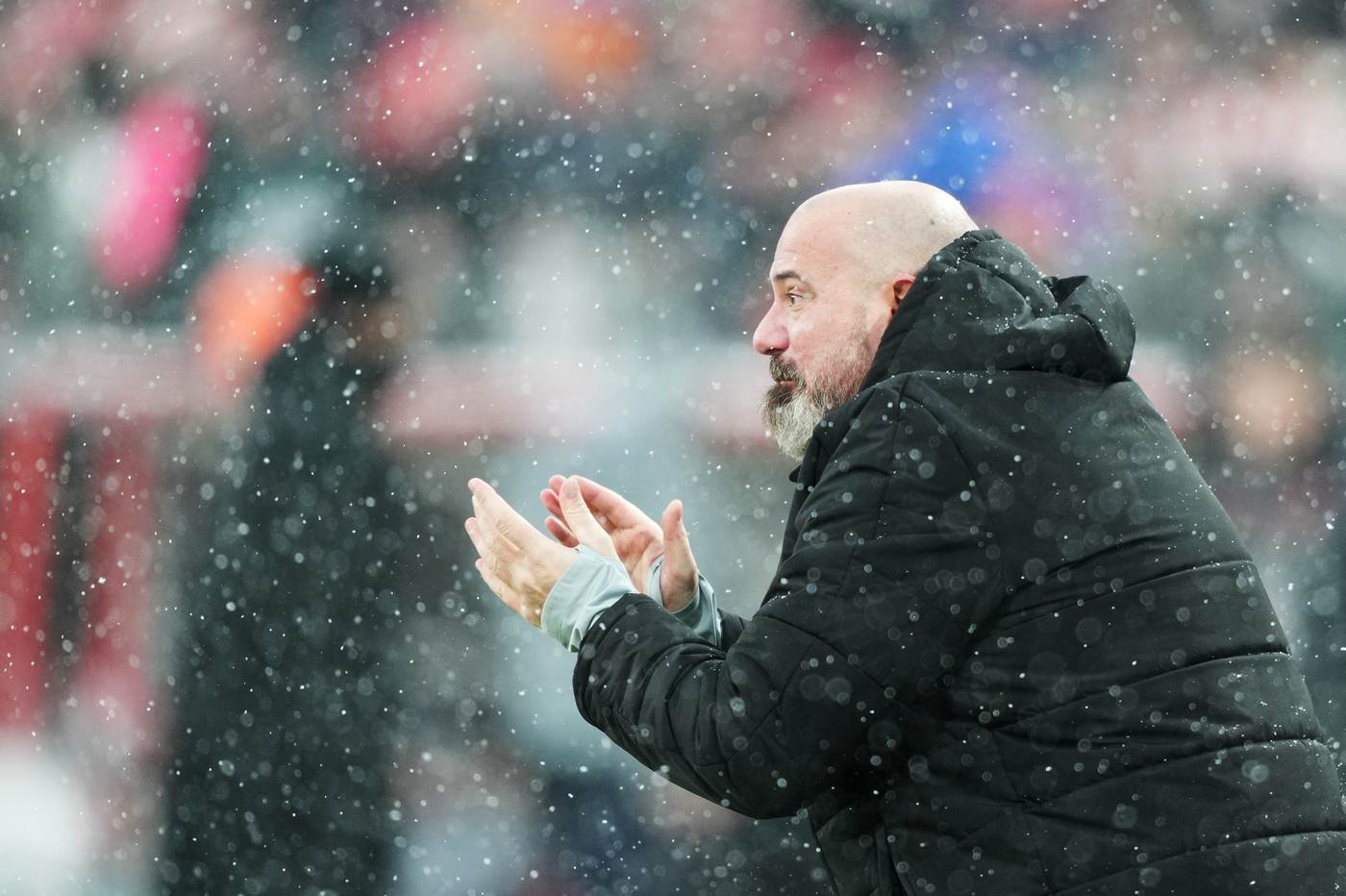  Zvezda počinje drugu eru pod Dejanom Stankovićem 