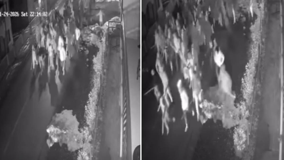  Sekunde prije haosa, snimak napada Torcide na Delije kod Tuzle: Huligani sa palicama trčali ulicom 