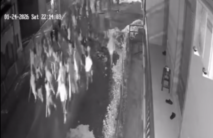   Strašno svjedočenje o tuči Torcide i Delija 