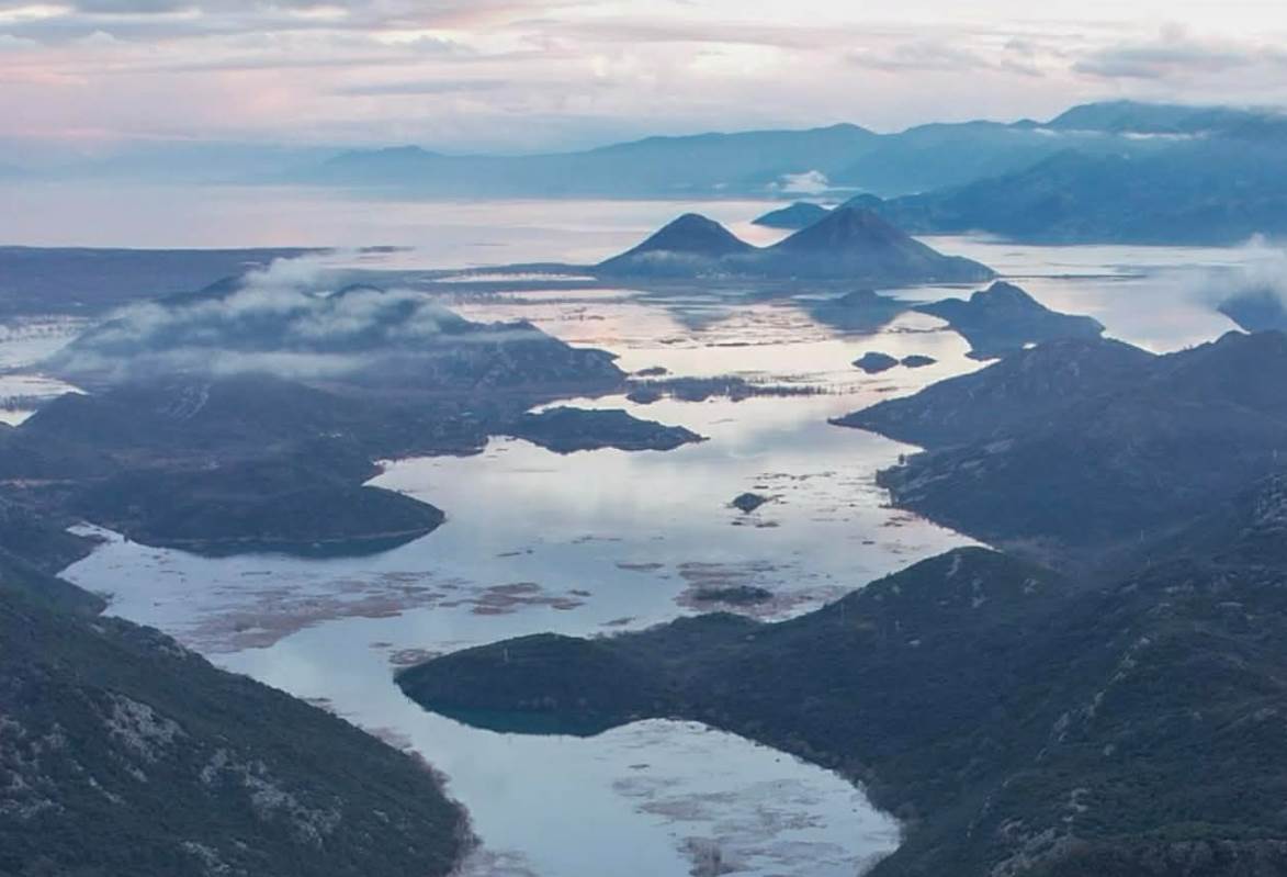  Screenshot 2026-01-30 175011.jpg 