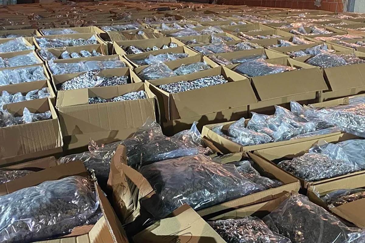  Makedonsko tužilaštvo pokrenulo istragu o rekordnoj zapljeni marihuane u Srbiji: Evo šta se navodi k 