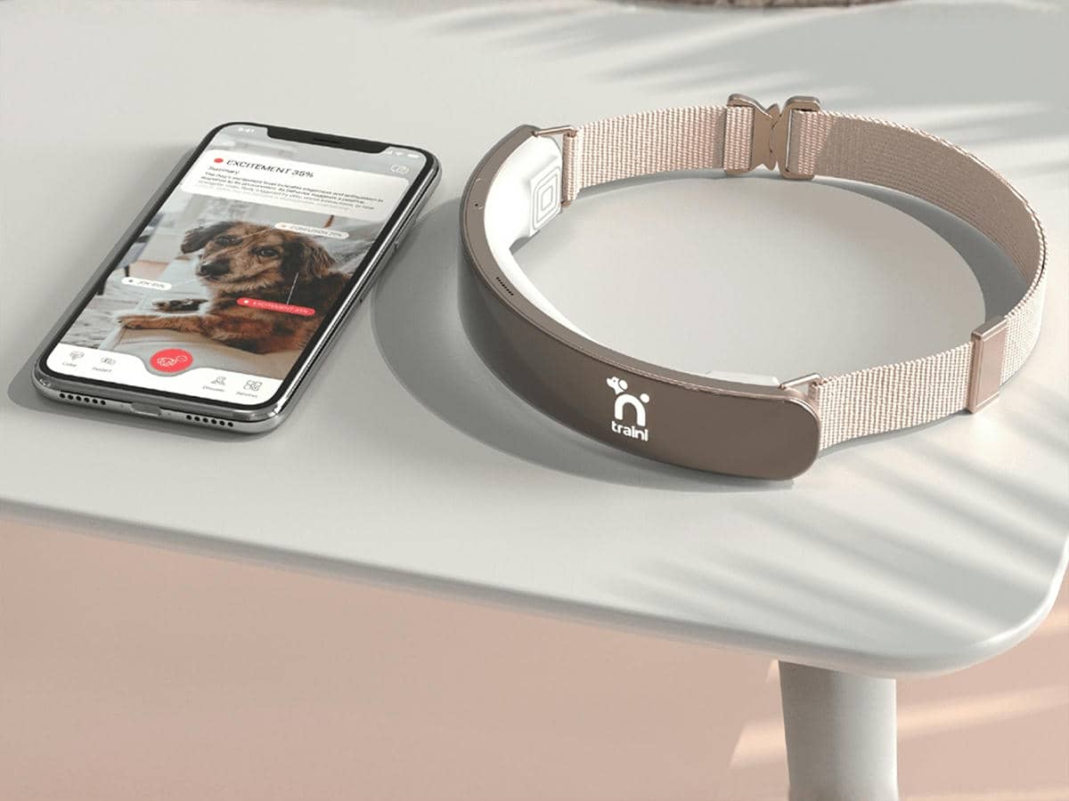  Ogrlica koja pomaže psima da razumiju ljudski jezik!? 