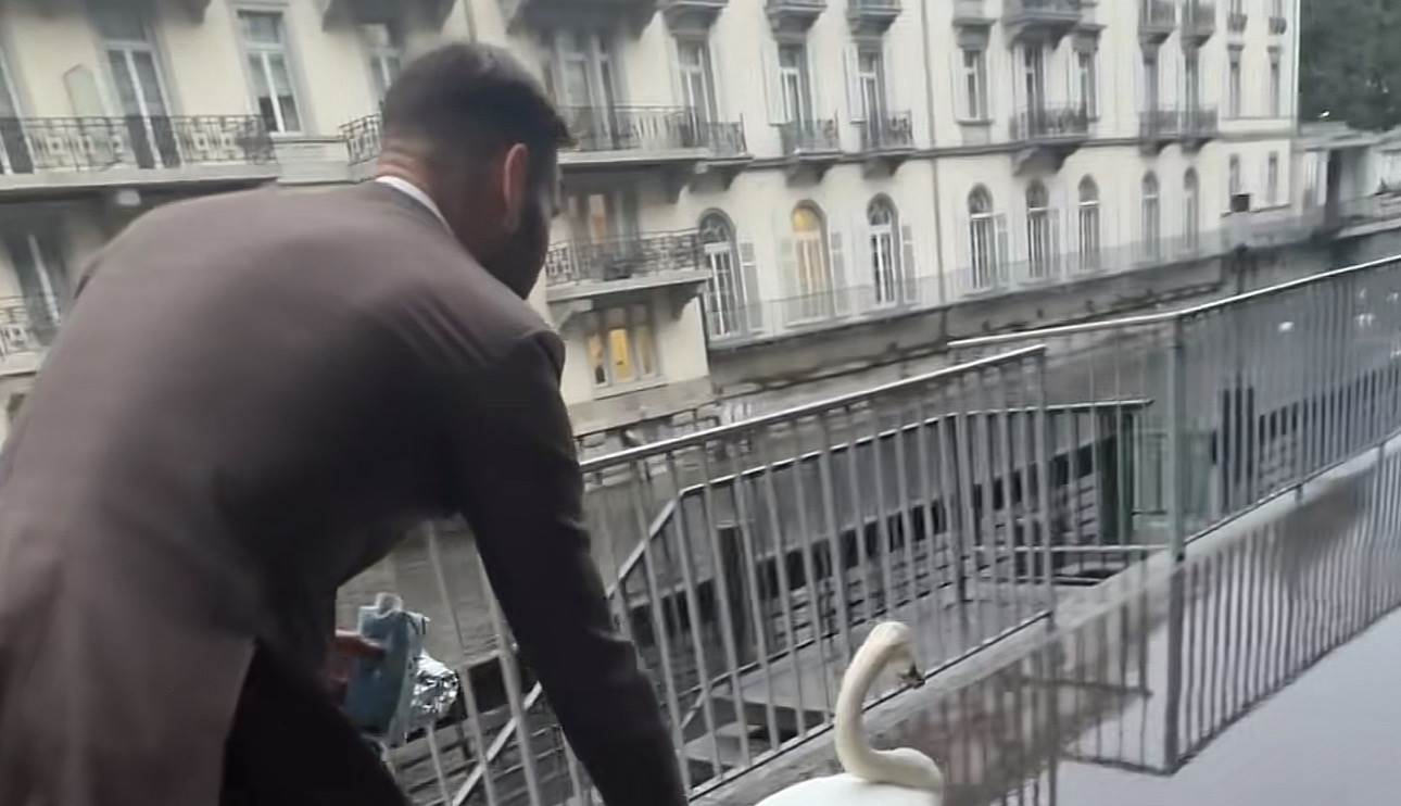  Snimak sa labudom na trotoaru koji nam je vratio veru u ljudsku dobrotu 