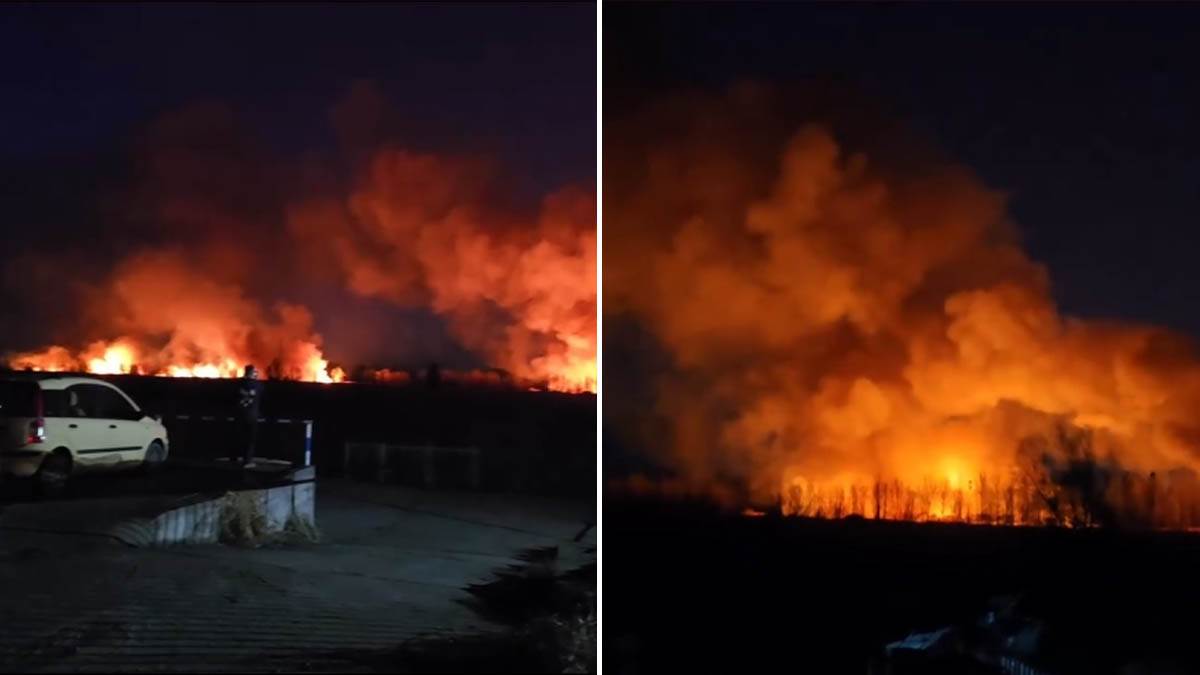  Veliki požar kod Beočina 
