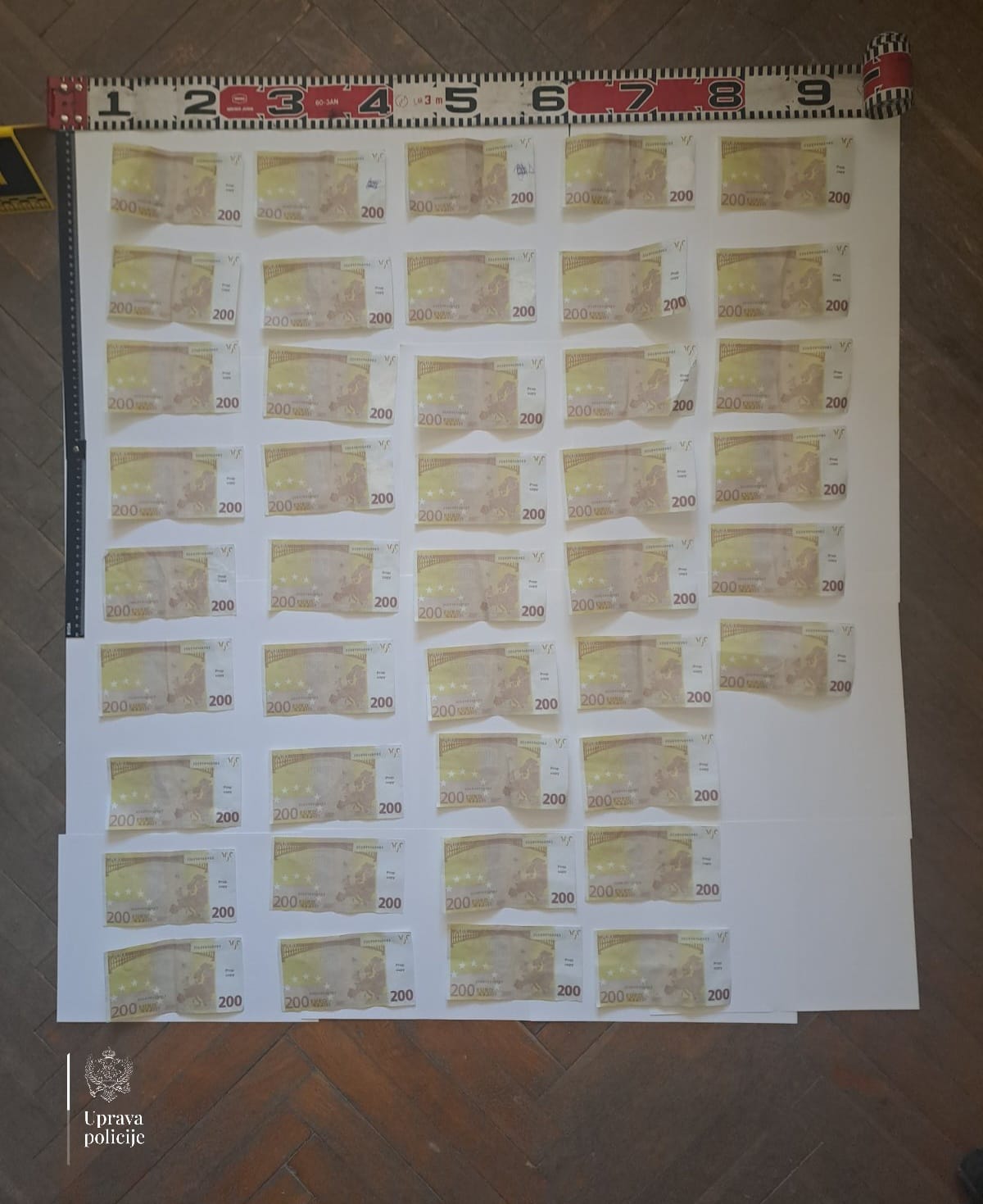  Majka i sin uhapšeni u Bijelom Polju: Osumnjičeni da su vratili pozajmicu falsifikovanim novcem 