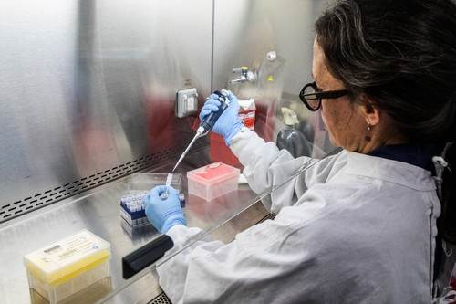  Virus sa luksuznog kruzera već ubio više od 60 ljudi: Strašni podaci, stiže vakcina dok se strahuje  
