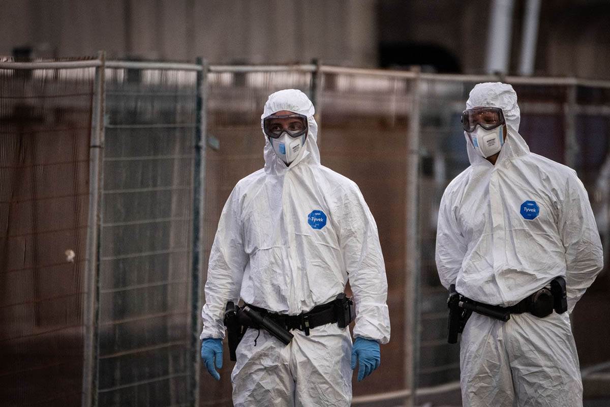  Dan "D" za hantavirus: Danas bismo mogli saznati da li nam prijeti nova pandemija 