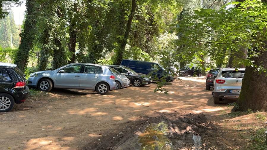  Sramota pod Goricom: Automobili gaze zelenilo, institucije ćute 