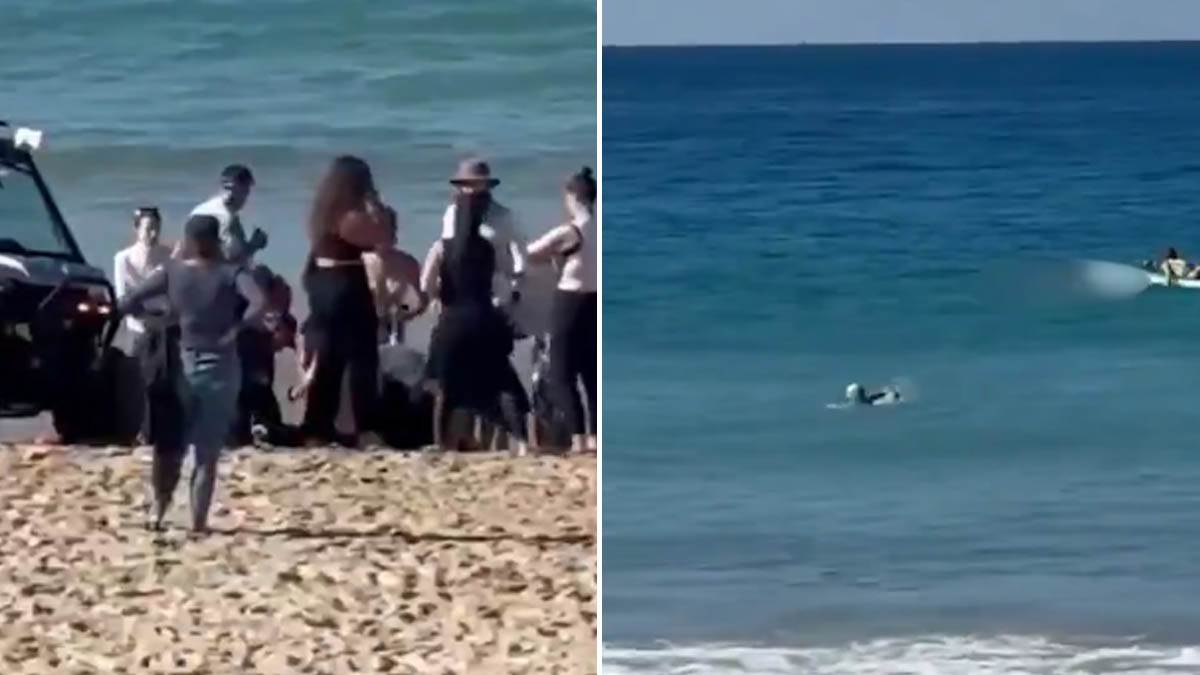  Turisti svjedočili stravičnom napadu ajkule, žena u kritičnom stanju  