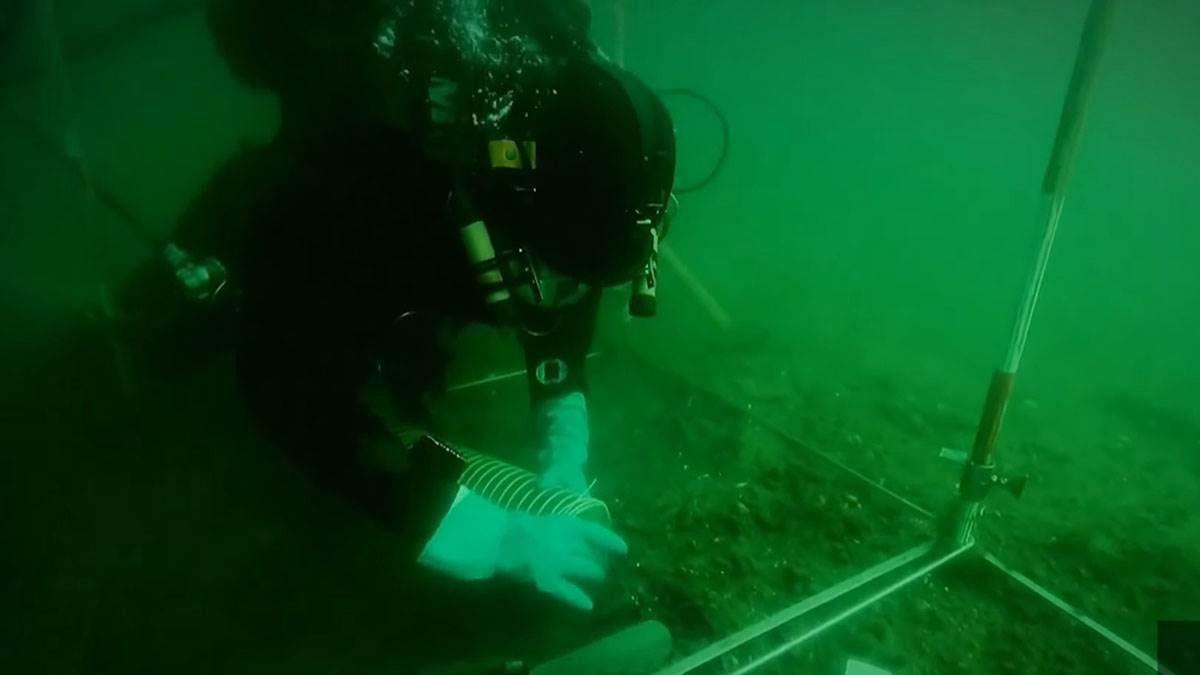  Arheolozi pronašli izgubljenu "evropsku Atlantidu"! Ispod mora se krila tajna stara 8.500 godina 
