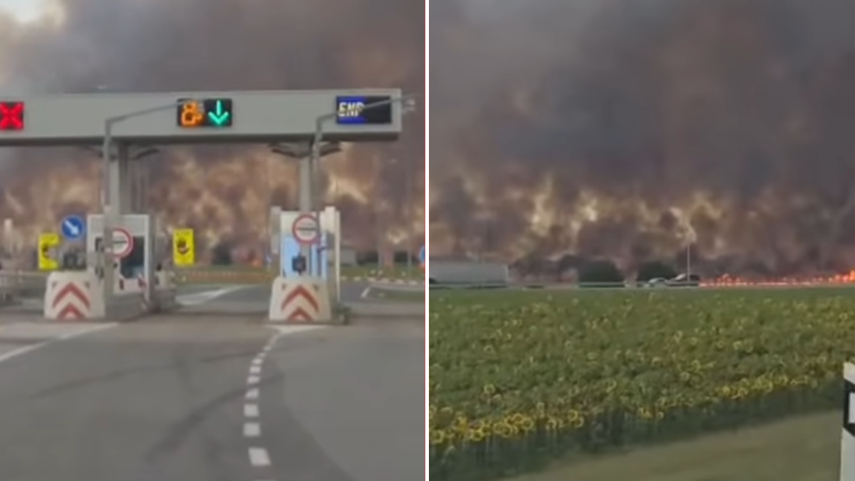 Zastrašujući prizor požara kod Inđije!  