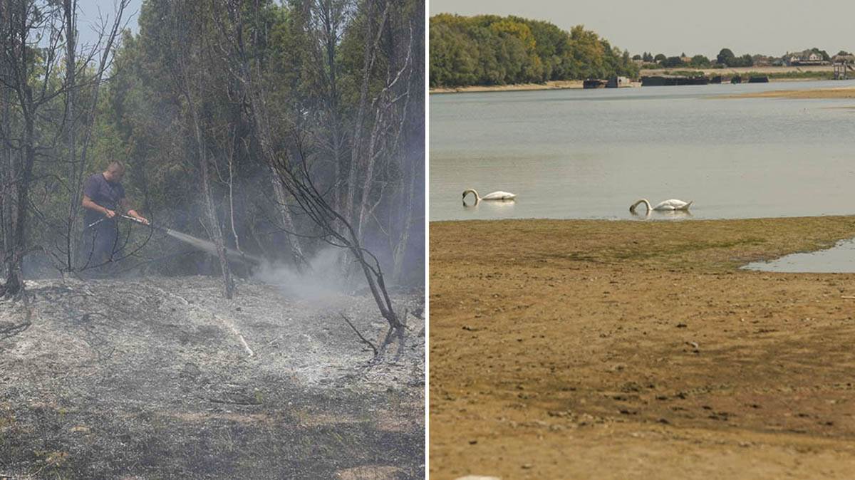  Toplotni talas napravio probleme širom Srbije: Vodostaj na minimumu, bukte požari, a RHMZ najavljuje 